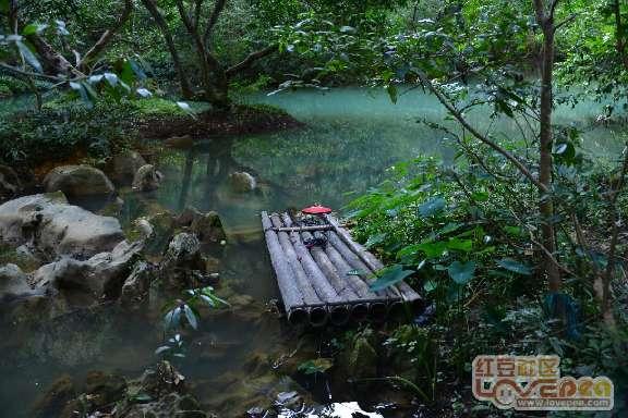 拖延症怎么治？