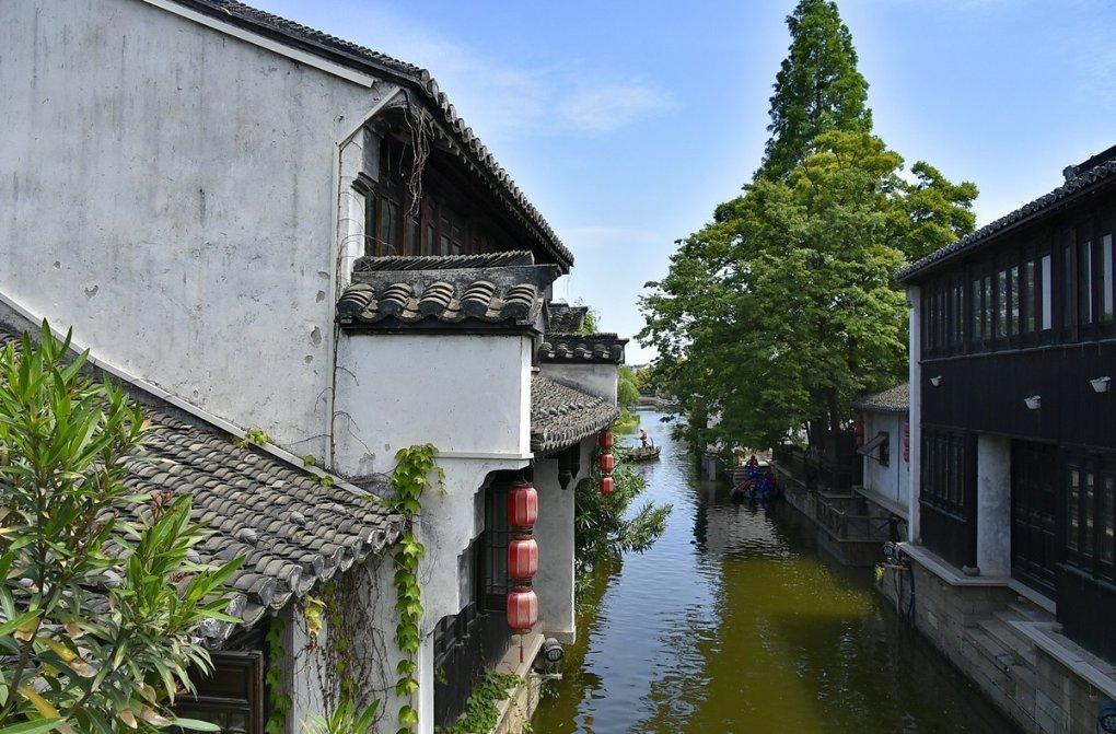森林的奇迹